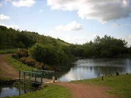 Brodsworth Community Woodland